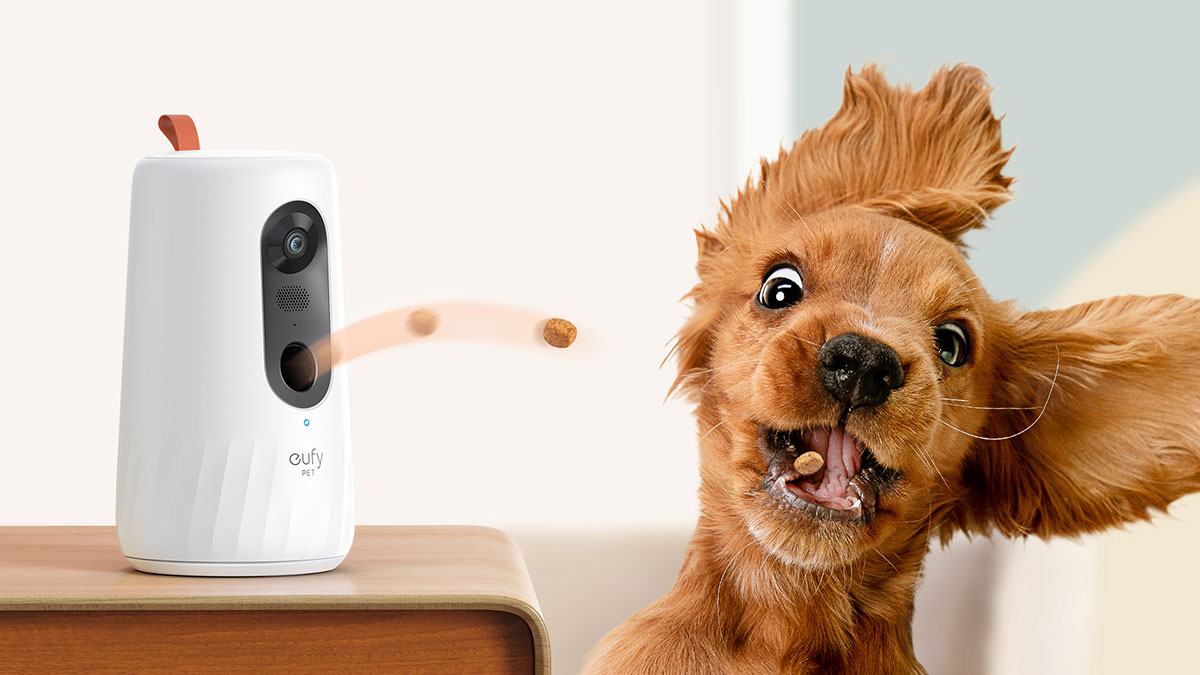 eufy Pet's paw-pular dog camera launches in Australia